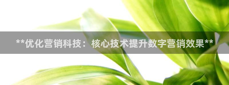 金年会下载官方app