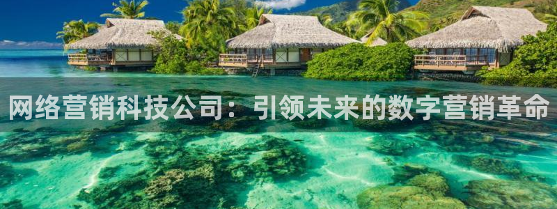 金年会官方在线入口网站2023