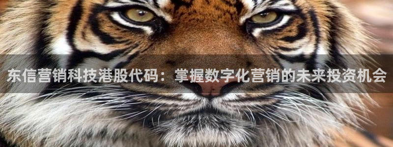 金年会官方进入2023