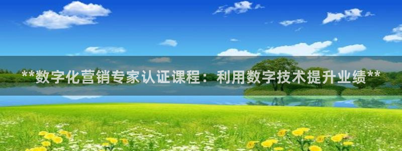 金年会体育app