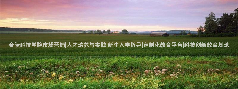 金年会网址