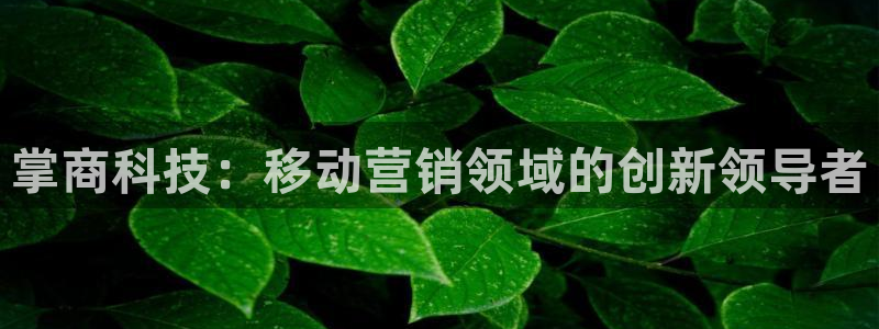 金年会电子游戏