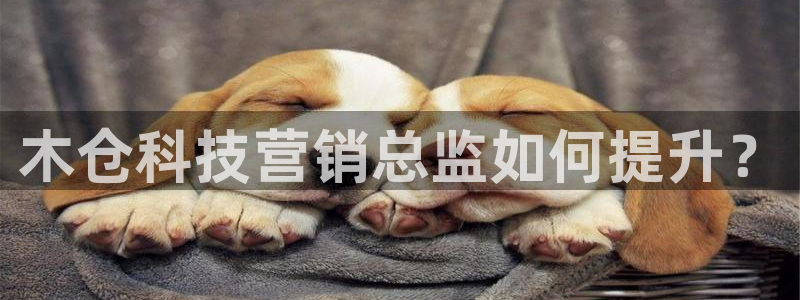 金年会网站入口