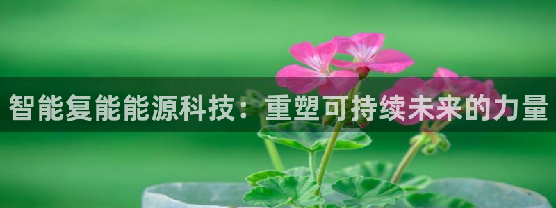 金年会官方在线入口网址大全