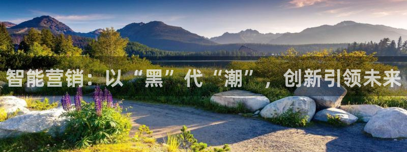 金年会体育官方入口