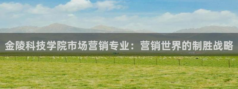 金年会网登录平台入口