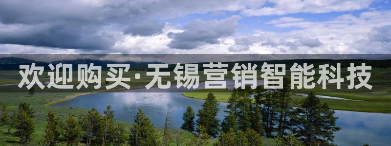 金年会体育官网app