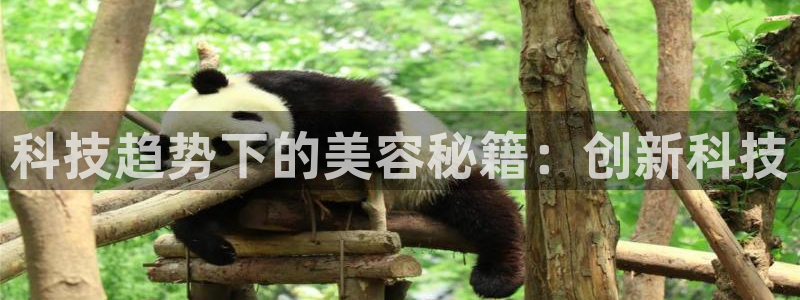 金年会app官方网站入口在哪