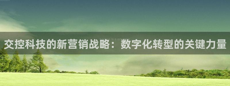 金年会提现不了