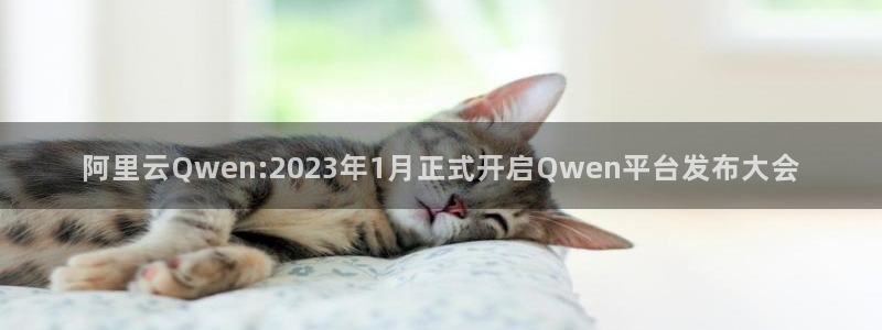 金年会体育app最新官网入口网址是什么