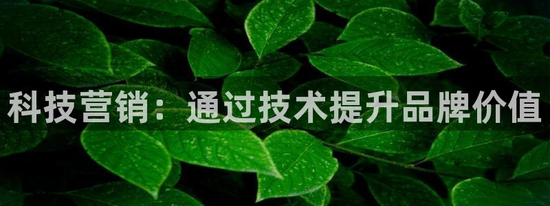 金年会官方下载