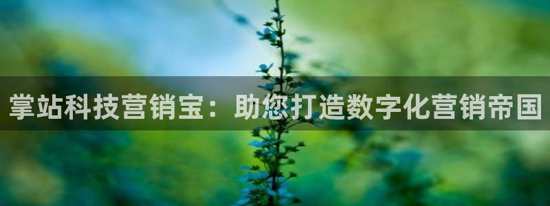 金年会los版下载
