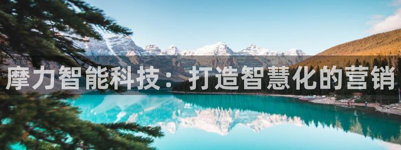 金年会体育平台怎么样