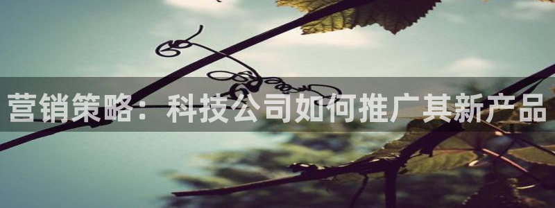 金年会官方入口首页网站下载