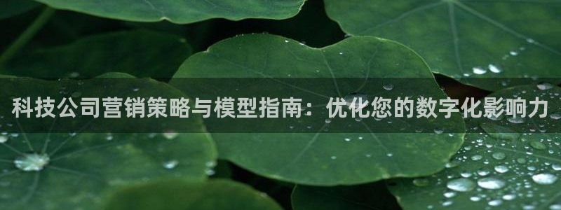 金年会官方在线入口网站查询