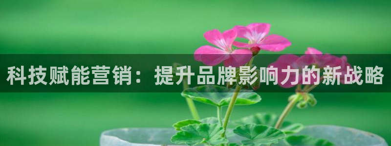 金年会ivp