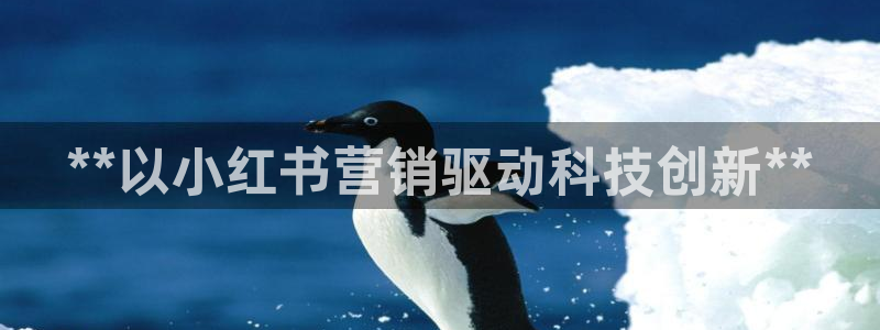 金年会信誉至上是什么意思