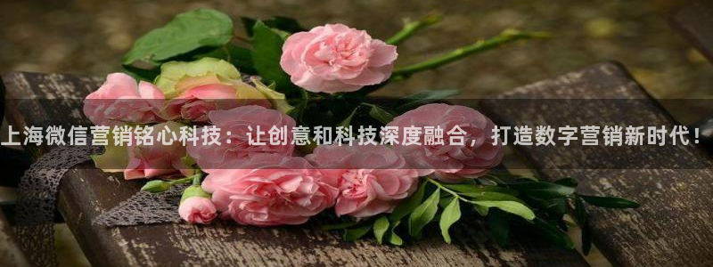 金年会体育娱乐