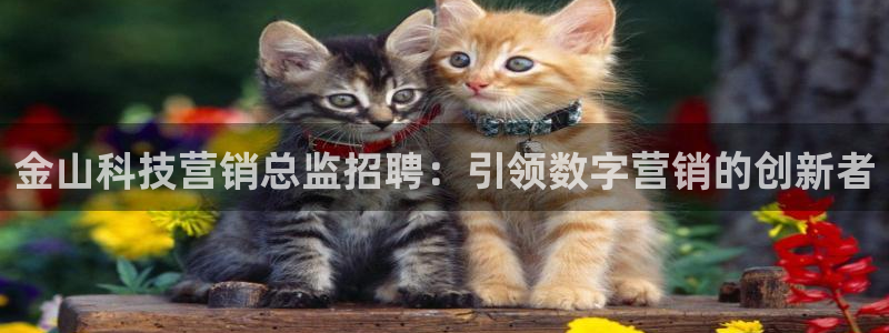 金年会网站登录