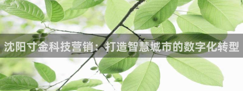 金年会体育官网登录入口下载