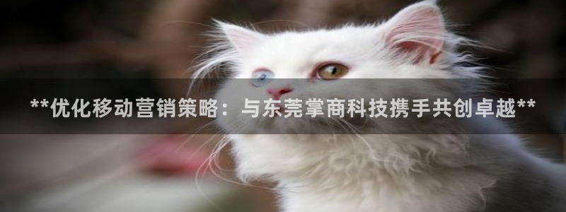 金年会手机网页版官网