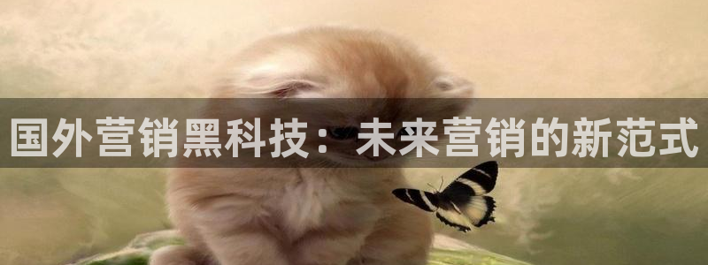 金年会网站怎么样
