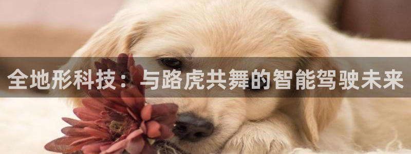 金年会app官方网站是什么
