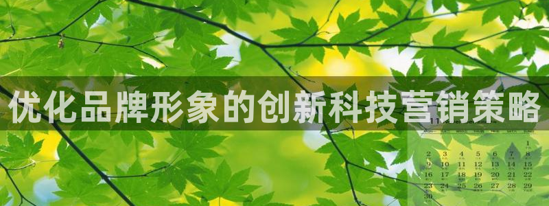 金年会体育论坛