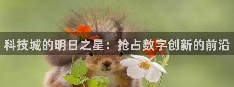 金年会网站入口