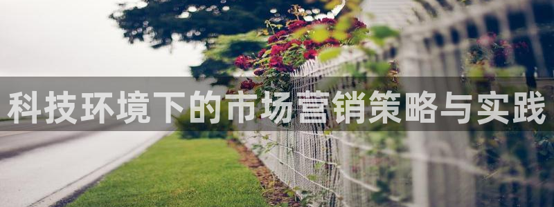 金年会官方新入口