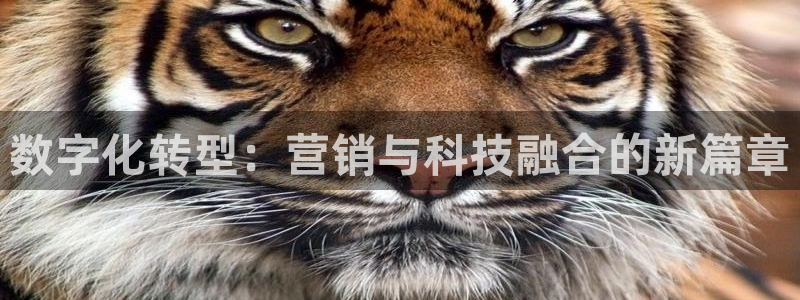 金年会手机网页版