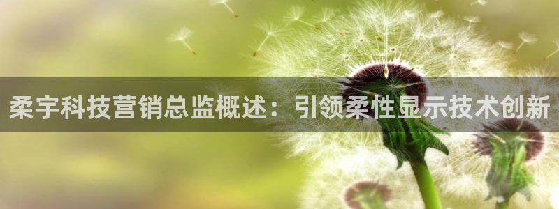 金年会体育官网是多少