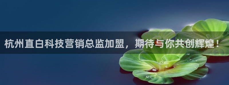 金年会体育网站