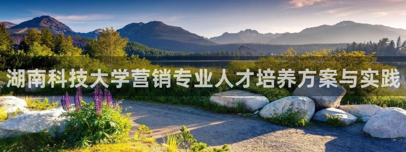 金年会网站洗黑钱