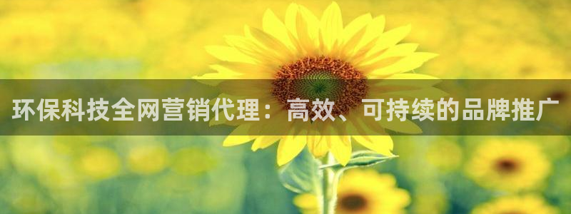 金年会网址