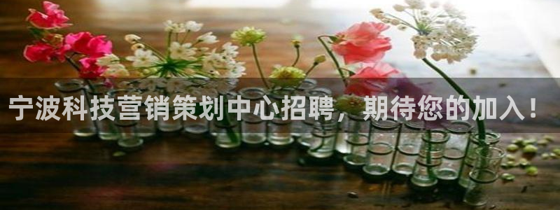 金年会pg电子官网首页
