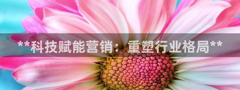 金年会体育好不好