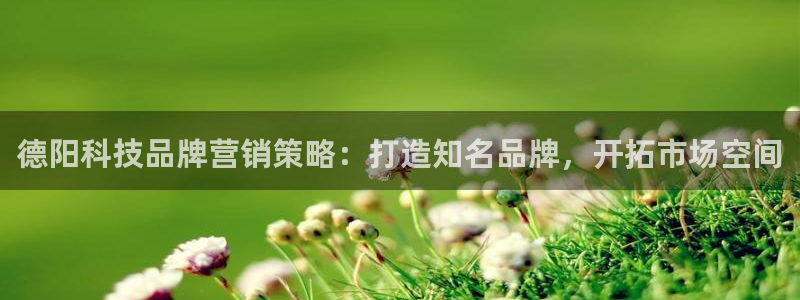 金年会体育app是干嘛的