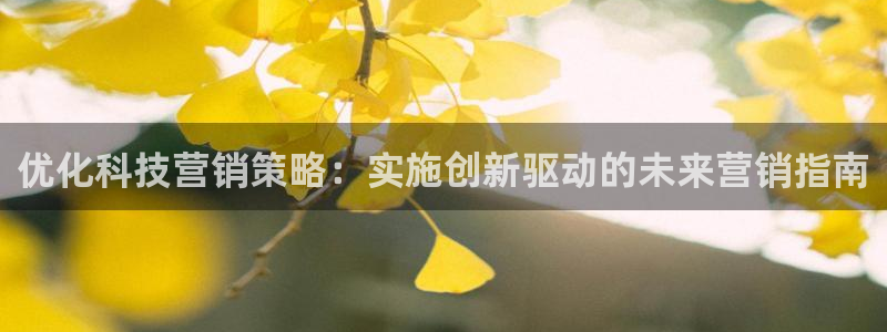 金年会app平台有人玩过吗安全吗