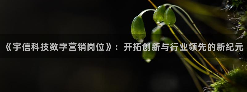 金年会体育平台怎么样