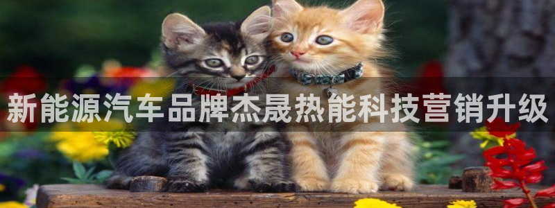 金年会体育出款审核七天