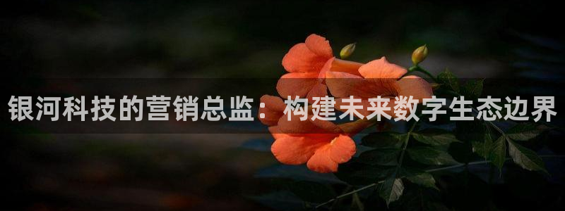 金年会网址导航在线播放