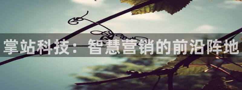 金年会体育官网是多少