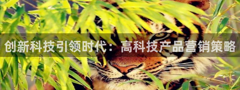 金年会体育app官网入口