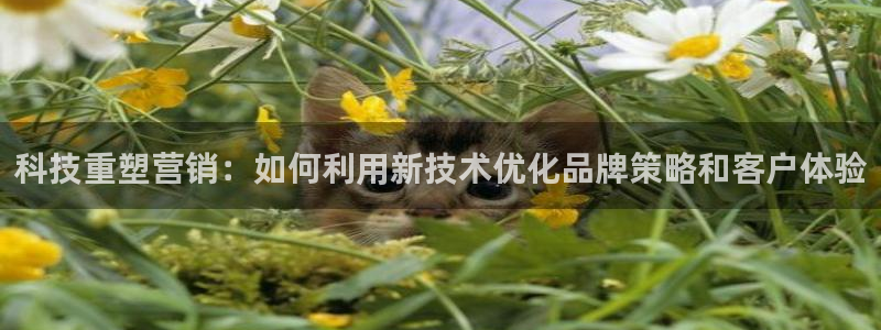 金年会网站拒绝出款怎么办理