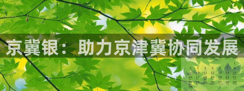 金年会APP官网下载