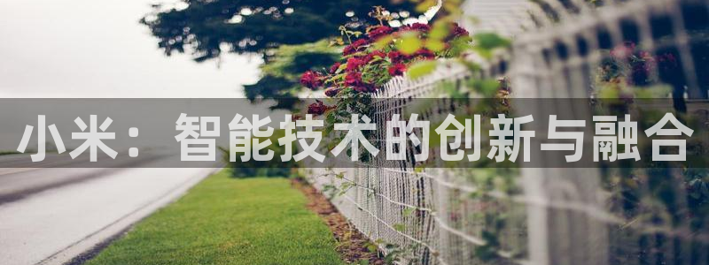 金年会会不会提不了款