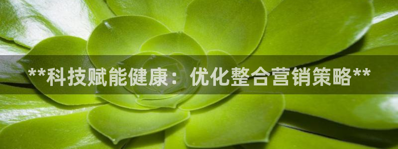 金年会app官网