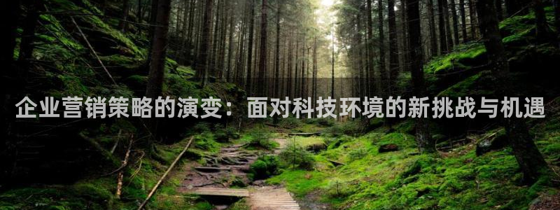 金年会信誉至上