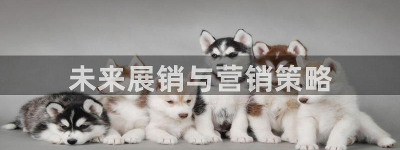 金年会官方在线入口网站